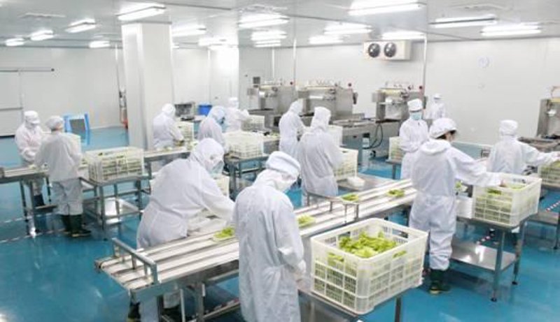 餐饮业的新趋势：企业内午餐的变革